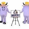 Pig Mascot Costume