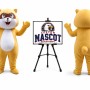 Little Raccoon Mascot Costume