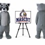 Little Raccoon Mascot Costume