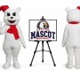 Bear Mascot Costume