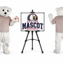 Bear Mascot Costume