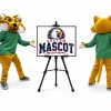 Wildcat Mascot Costume