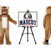 Wildcat Mascot Costume