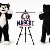 Wolf Baby Mascot Costume
