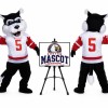 Wolf Mascot Costume