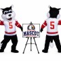 Wolf Mascot Costume