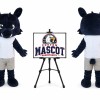 Wolf Mascot Costume