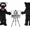 Wolf Mascot Costume