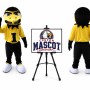 Eagle Mascot Costume