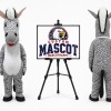 Zebra Mascot Costume