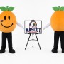Character Mascot Costume