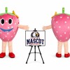Strawberry Mascot Costume