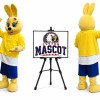 Rabbit Mascot Costume for Easter Events