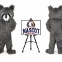 Raccoon Mascot Costume