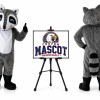 Raccoon Mascot Costume