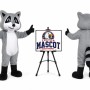 Raccoon Mascot Costume