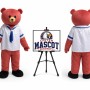 Bear Mascot Costume