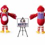 Bird Mascot Costume