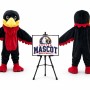 Hawk Mascot Costume