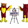 Owl Mascot Costume