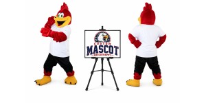 Sport Eagle Mascot Costume for Sports Events Sport Eagle Mascot Costume for Sports Events