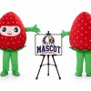 Strawberry Mascot Costume