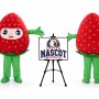 Strawberry Mascot Costume