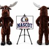 Reindeer Mascot Costume for Christmas Events