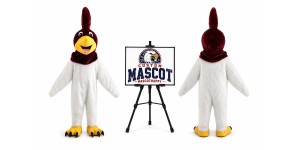 Roadrunner Mascot Costume Roadrunner Mascot Costume