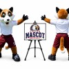 Soccer Fox Mascot Costume