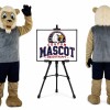 Sport Lion Mascot Costume for Sports Events