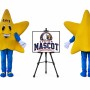 Star Mascot Costume