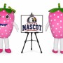 Strawberry Mascot Costume