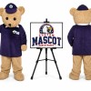 Teddy Bear Mascot Costume