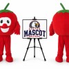 Tomato Vegetable Mascot Costume
