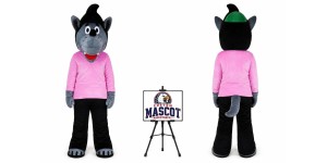 Cartoon Wolf Mascot Costume Cartoon Wolf Mascot Costume