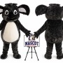 Koala Mascot Costume