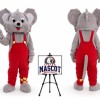 Koala Mascot Costume