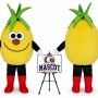 Lemon Fruit Mascot Costume