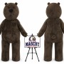 Chocolate Bear Mascot Costume
