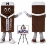 Chocolate Ice Mascot Costume