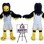 College Falcon Mascot Costume
