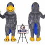 College Hawk Mascot Costume