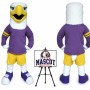 College Hawk Mascot Costume