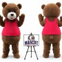 Bear Mascot Costume
