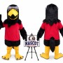 Eagle Mascot Costume