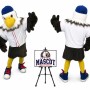 Eagle Sports Mascot Costume for Sports Events