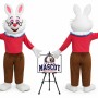 Easter Rabbit Bunny Mascot Costume for Easter Events