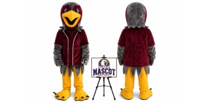 Falcon Hawk Eagle Mascot Costume