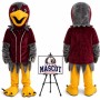 Falcon Hawk Eagle Mascot Costume